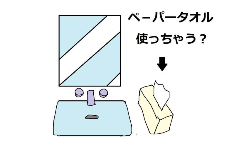 ペーパータオル使っちゃう？