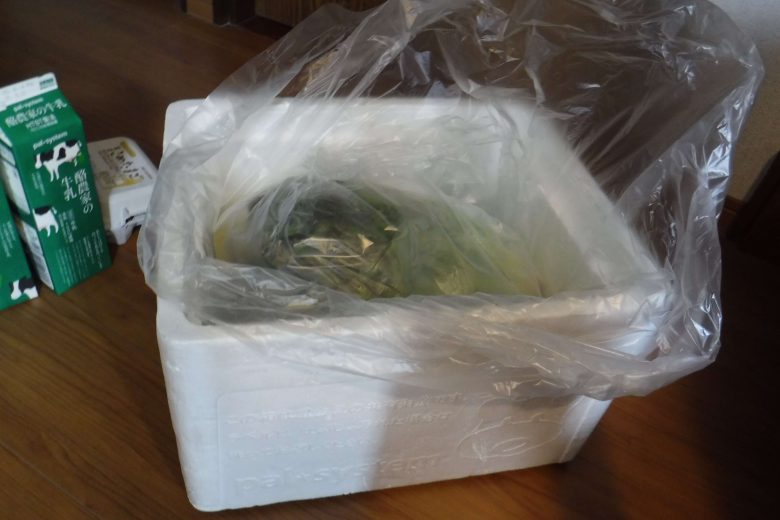 パルシステムビニール