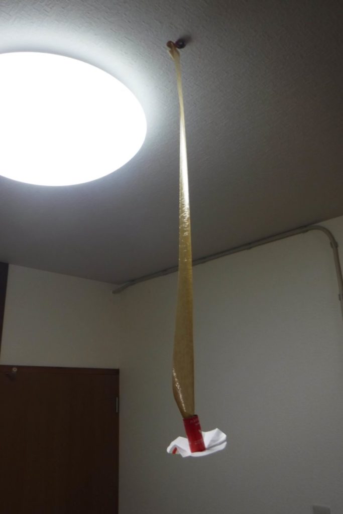 天井に設置したハエ取り紙